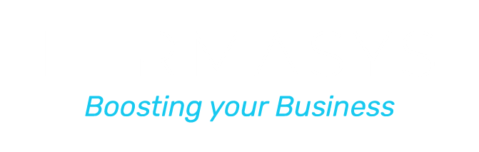 lermasys.com